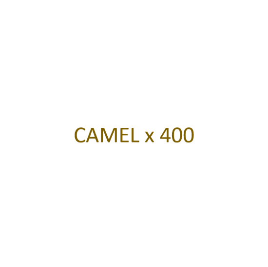 Image sur CAMEL - Filtre x 400