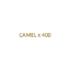 Image de CAMEL - Filtre x 400